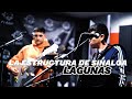 La Estructura De Sinaloa Lagunas