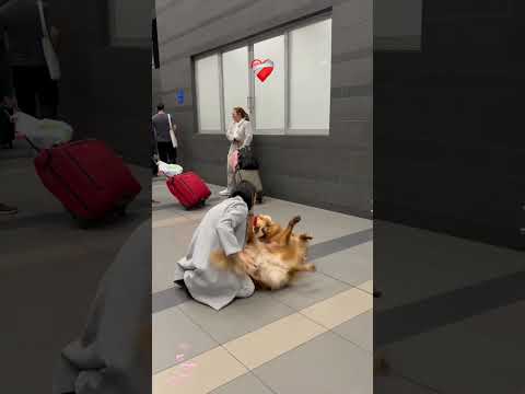 Super excited dogs reunions🥹🥰