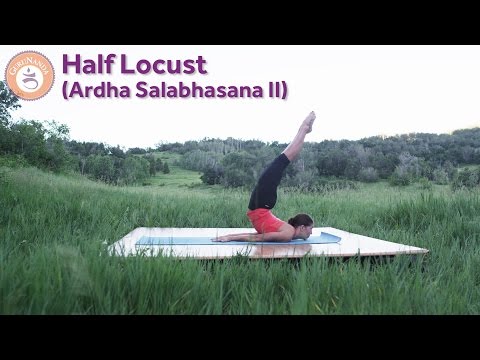 Half Locust Pose (Ardha Salabhasana II)