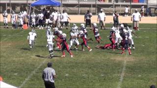 preview picture of video 'Alex Michalas 2012 Lancaster/ Highland Midget Eagles (PYFL), 11 years old.  2012 Highlights'