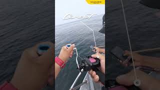 Download lagu When the fight is on, this jigging combo delivers! 🔥🎣 mp3