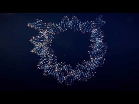 Хромосомы человека. Кариотип | Клеточная биология (Цитология) | НМИЦ им. В. А. Алмазова