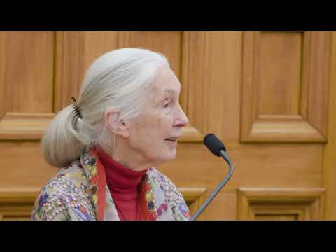 Dr Jane Goodall: Reasons for hope