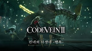 퀘이사존