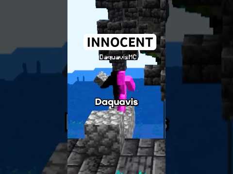 Daquavis was NOT cheating in the Dream 1v1 🚡 #dream #minecraft #daquavis