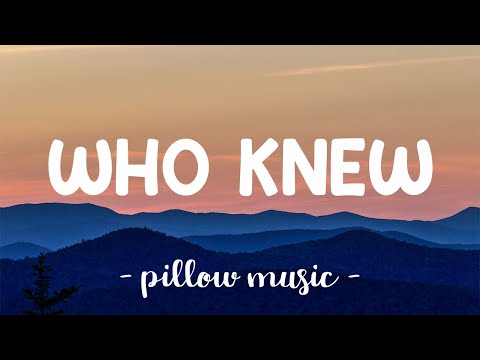 Who Knew - Pink (Lyrics) 🎵