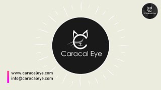 CaracalEye - Video - 1