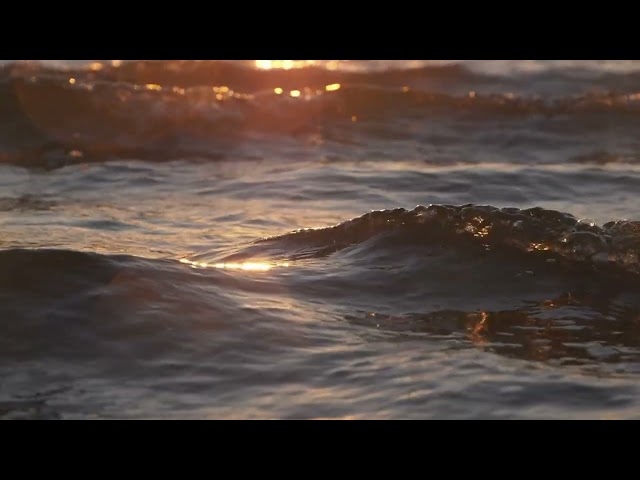 Placeholder image for video