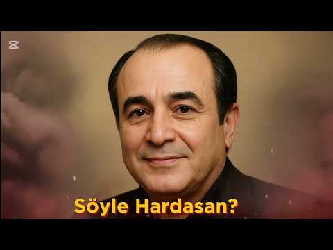 Söyle Hardasan - Qedir Qızılses (Anatolian Psychedelic Rock versiyası) 