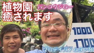 [バンコクライフ]バンコクの園芸ショップで癒される！スタッフピアピア撮影デビュー！カメラがすごいことになっている。