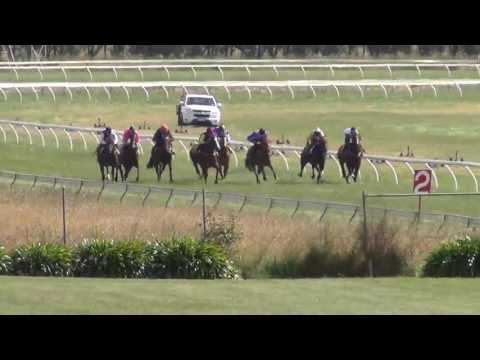 Terang Trial 6 20 12 16 Thinker & Charlie
