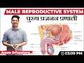 Male Reproductive System (नर प्रजनन प्रणाली) |  All Govt Exams | Biology Special Class by 