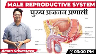 Male Reproductive System (नर प्रजनन प्रणाली) |  All Govt Exams | Biology Special Class by Aman Sir