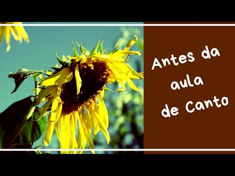 Antes e Depois da Aula de Canto - BIDELLATI-C.E.M #2