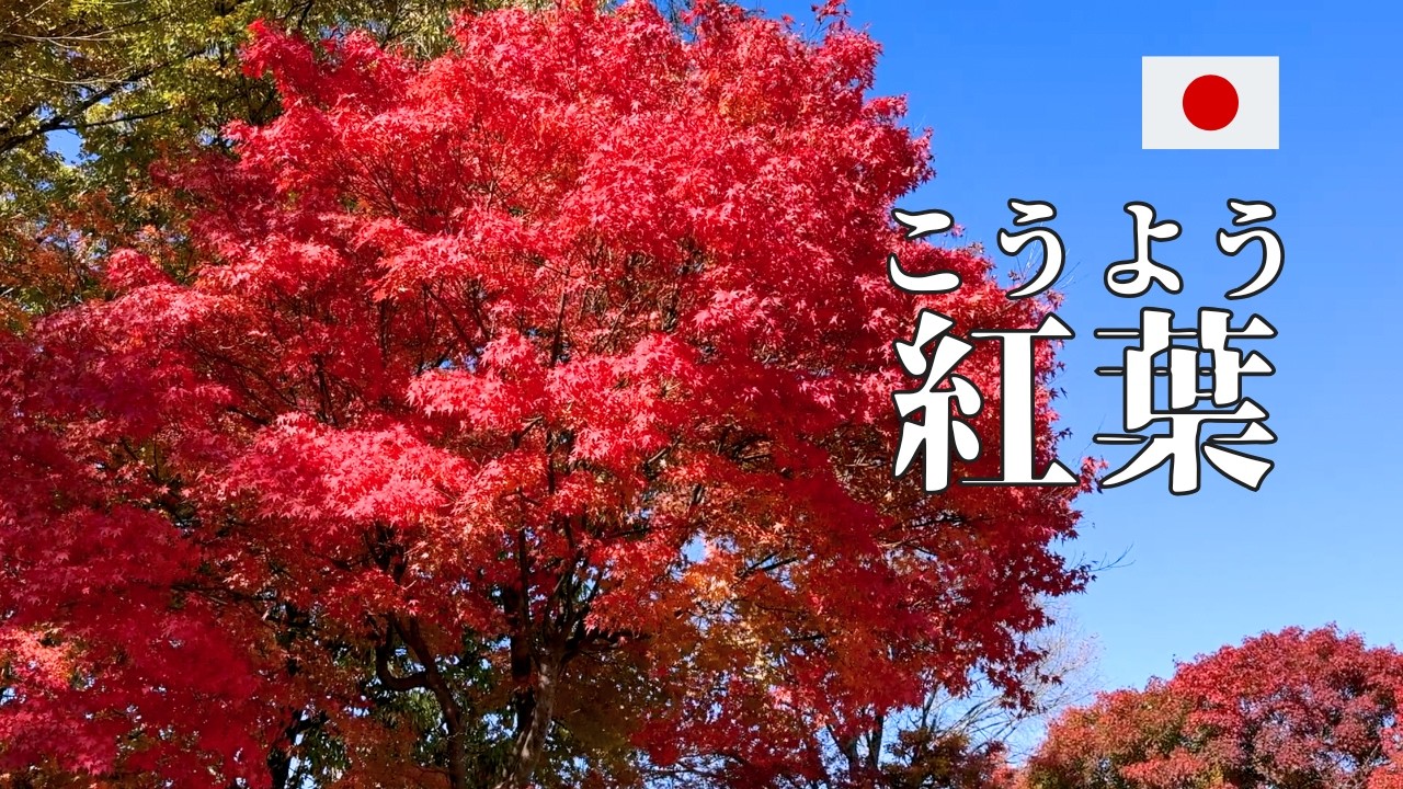 Japanese Listening Practice | Let's Go See Autumn Leaves!