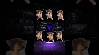 Download lagu DJ KICAU KICAU KICAU MANIA SLOW VIRAL TIKTOK TERBARU 2026 mp3
