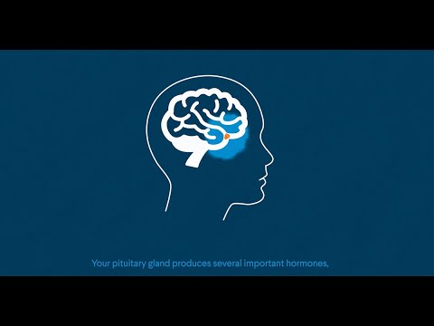 AACE Patient Guide to Growth Hormone Deficiency