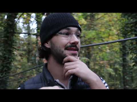 RARA72 - "formaufeinblatt" [2022] 🐾