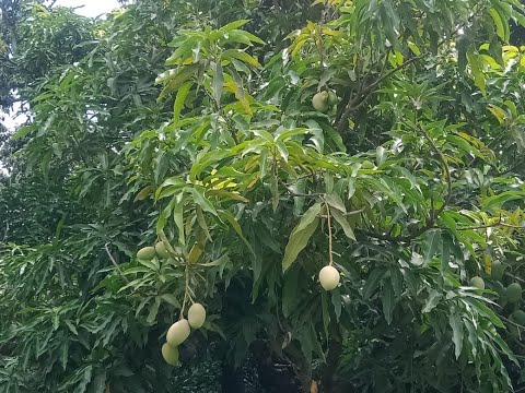 Nandita Adhikary  Say no to child labour