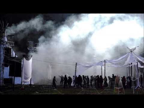 Sychotria - Transylvania