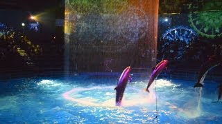 アクアパーク品川「花火アクアリウム」2016