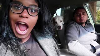 SouthPoint Mall // Veterinarian // Weekly Vlog