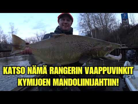 KYMIJOKI KALASTUSTA LAITURILTA - Rangerin Vaappuvinkit Korkeakosken laiturin alapäähän ( Spinfluga )