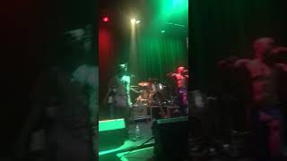 Seun kuti 2 in atlanta