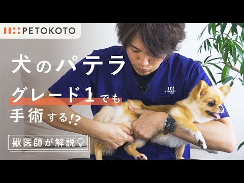 アポリナリス・パテラについて詳しく解説