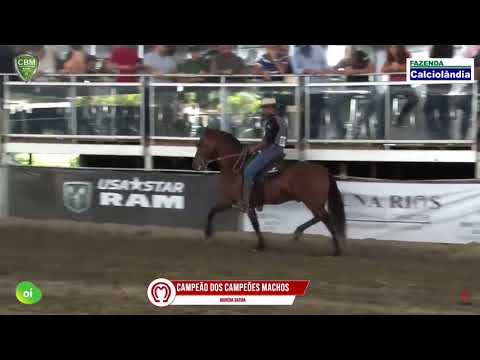 Campeão dos Campeões Machos 35 CBM 2021