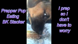 I prep so I Don't have to worry , Or Make hay while the sun's