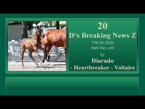 20 D's Breaking News Z by Diarado - Heartbreaker - Voltaire
