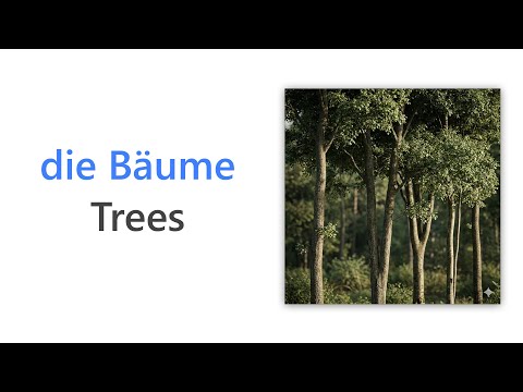 50 German Words for Trees | Beginner German Vocabulary | Wortschatz Bäume