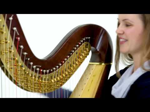 Harp with Marina - Reno Phil Case Files