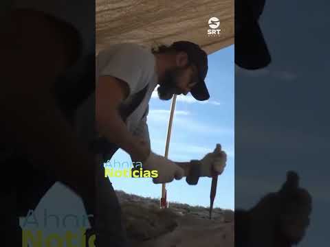 Streaming del CONICET para descubrir dinosaurios