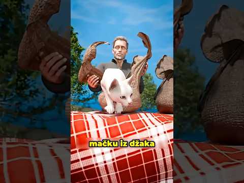 Poreklo Izreke Mačka U Džaku 🐱👀