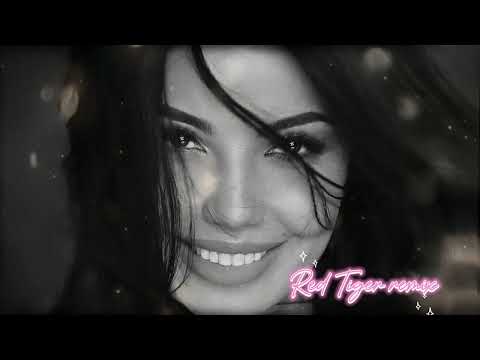 Shahzoda  - Megamix 2025 ( ONE HOUR ) _ Remix by Red Tiger