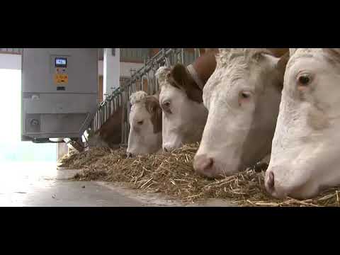 GEA Farm Technologies bringt deinen Betrieb auf das nächste Level! 💪