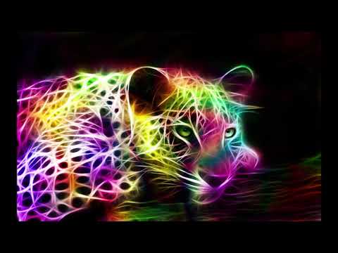 Boris Brejcha & Dj Panda - DjVanely Rmx