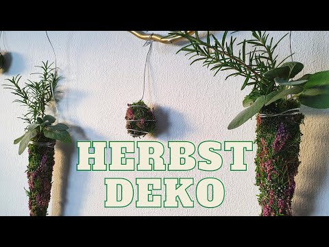 , title : 'DIY Fenterdeko für drinnen und draußen | Herbst Deko mit Moos, Heide und duftenden Kräutern'