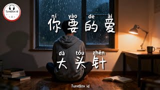 大头针 - 你要的爱 | Da TouZhen - Cinta yang kau inginkan | Pop Mandarin @TuneBoxId 
