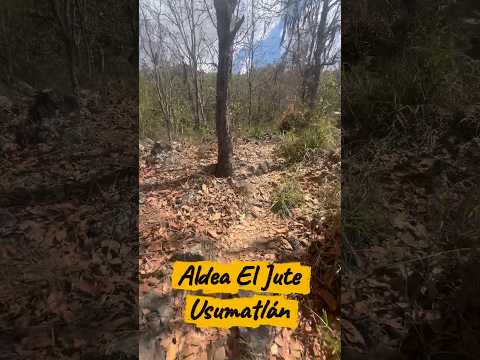 Finca en Venta en Usumatlán, Zacapa, Guatemala. #fincasdisponibles #usumatlán