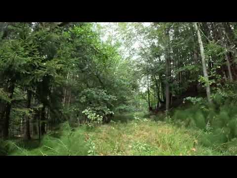 Scenic Wonders: Epic Hikes Around the World in 4 K  Session 17