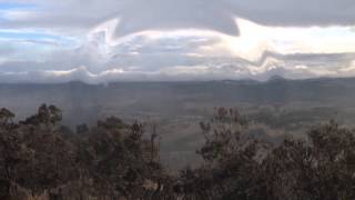 Chaos In The Rain - Hawk-Kestrel - Psychedelic Rock