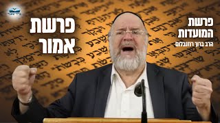 פרשת המועדות - המחשה מרתקת מפי הרב רוזנבלום על המצוות המיוחדות שבפרשת אמור (פ"ד) 📖 (הרב ברוך רוזנבלום) - התמונה מוצגת ישירות מתוך אתר האינטרנט יוטיוב. זכויות היוצרים בתמונה שייכות ליוצרה. קישור קרדיט למקור התוכן נמצא בתוך דף הסרטון