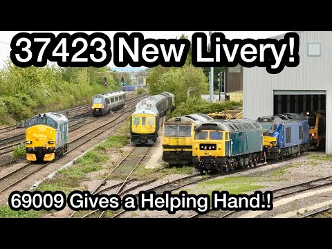37423 with NEW Livery & 69009 BUSY at Leicester Locomotive Inspection Point..! Plus 810008 on test.!