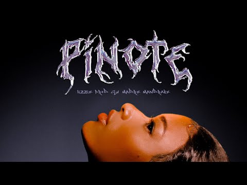 LIZZIE - PINOTE (Videoclipe Oficial)