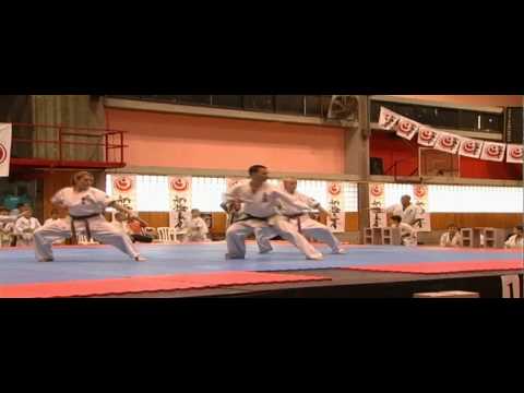 Presentation Karate Shinkyokushin 2009