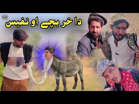 Da Khar Bacy Aw Nafees | Pashto Funny Drama | Pashto Video 2025