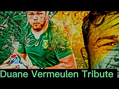 Duane Vermeulen Tribute - Greatest Springbok 8th man Rugby 🏉 Player #motivation #rugby #sports